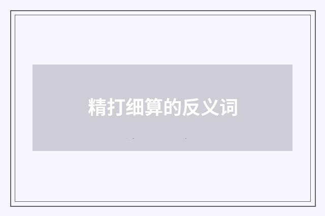 精打细算的反义词