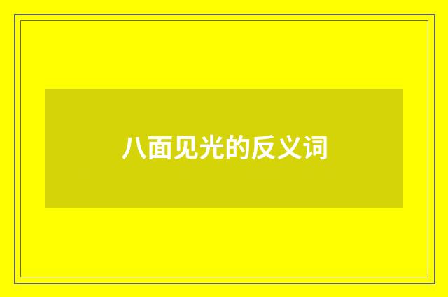 八面见光的反义词