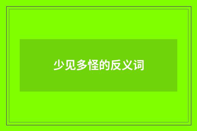 少见多怪的反义词