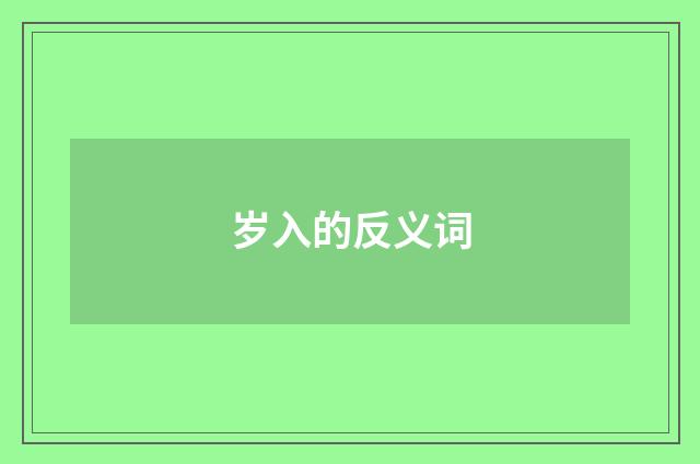 岁入的反义词