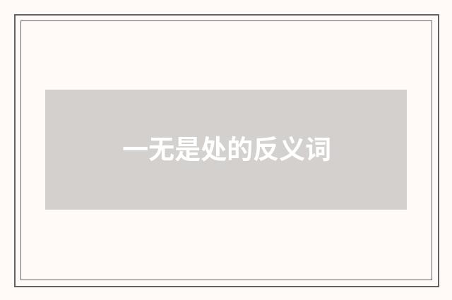一无是处的反义词