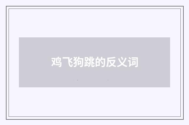 鸡飞狗跳的反义词