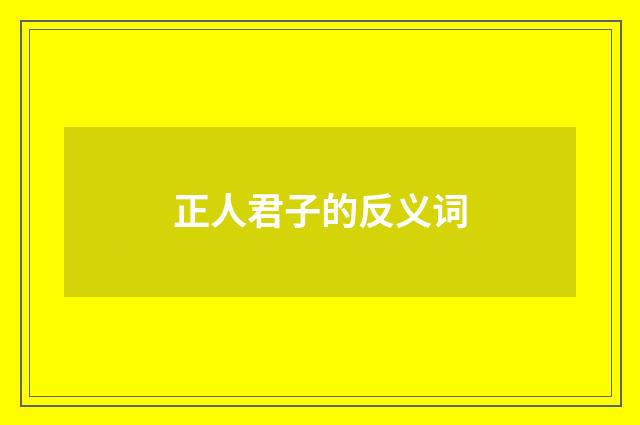 正人君子的反义词