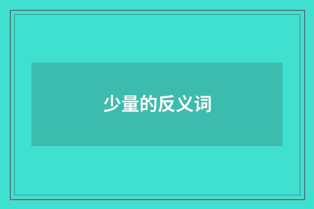 少量的反义词