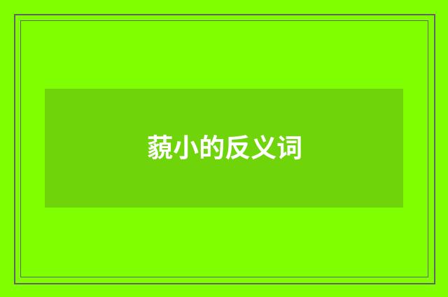 藐小的反义词