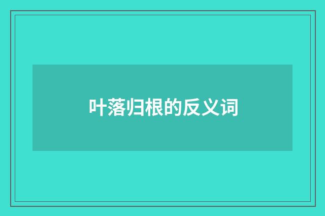 叶落归根的反义词
