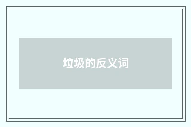 垃圾的反义词