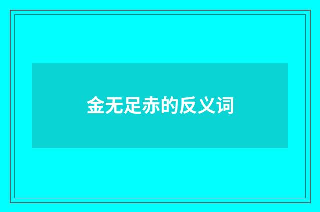 金无足赤的反义词