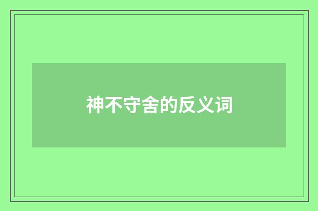 神不守舍的反义词