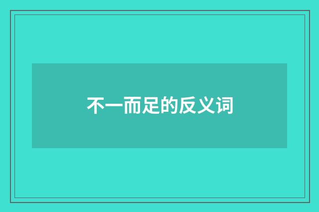 不一而足的反义词