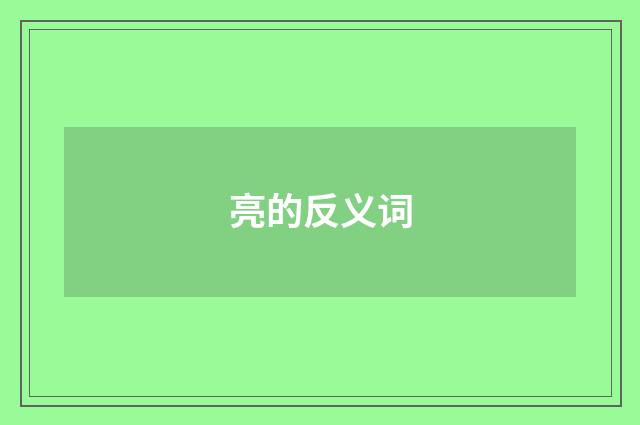 亮的反义词