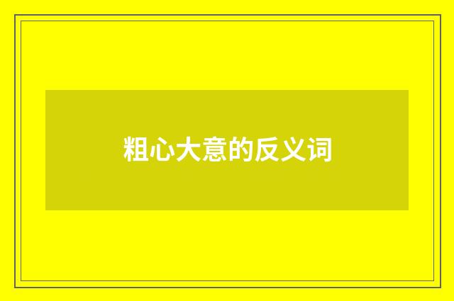 粗心大意的反义词