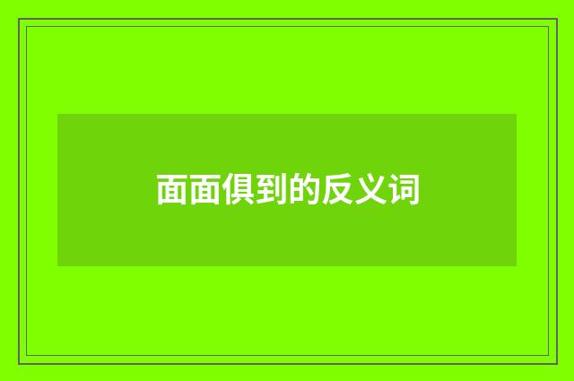 面面俱到的反义词