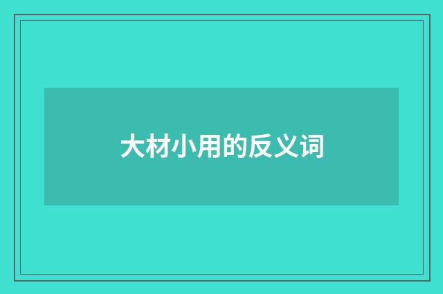 大材小用的反义词