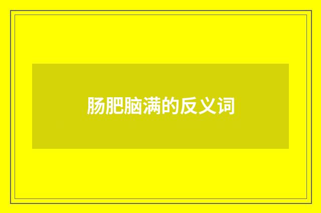 肠肥脑满的反义词