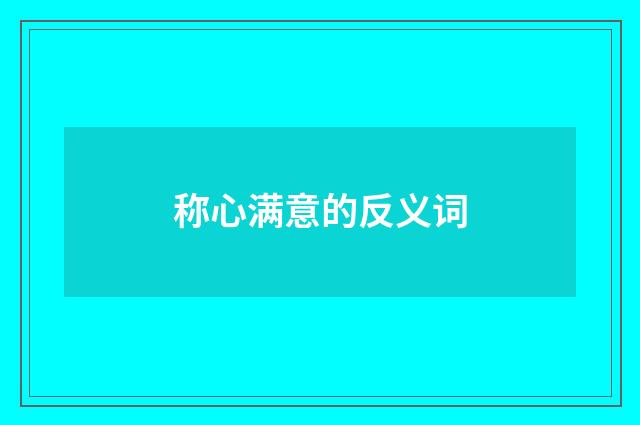 称心满意的反义词