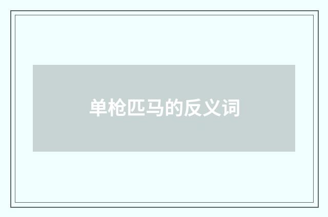 单枪匹马的反义词