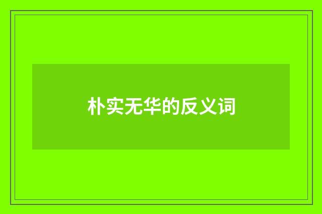 朴实无华的反义词