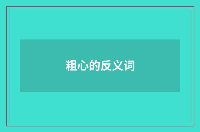 粗心的反义词