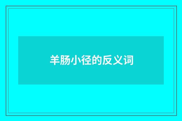 羊肠小径的反义词
