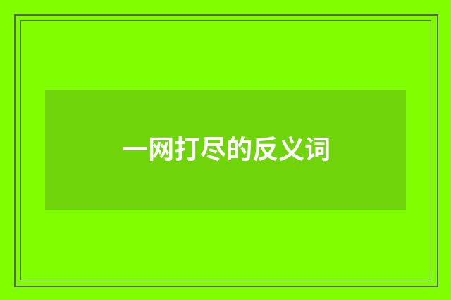 一网打尽的反义词