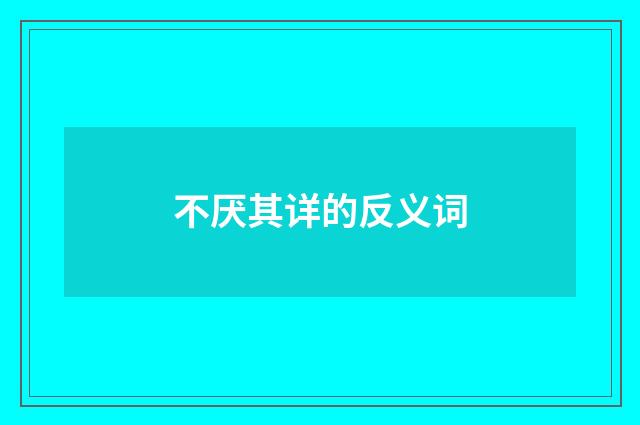 不厌其详的反义词