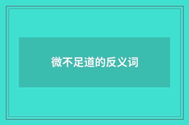 微不足道的反义词