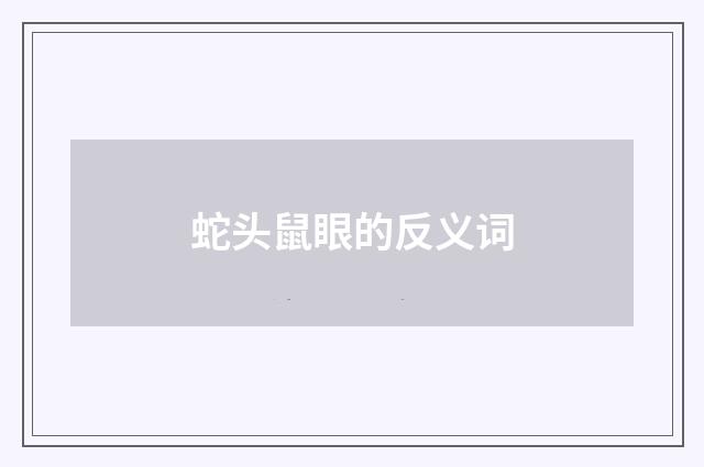 蛇头鼠眼的反义词