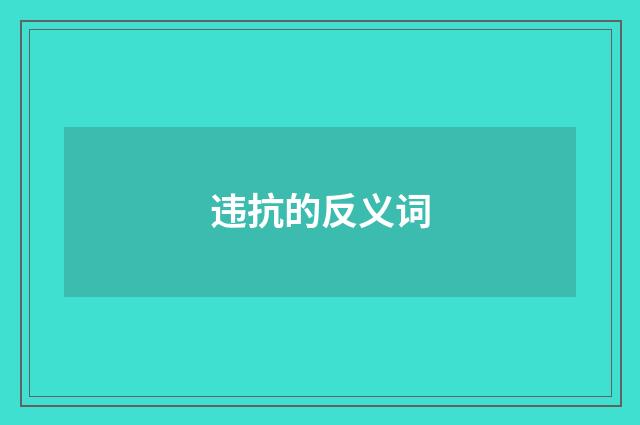 违抗的反义词