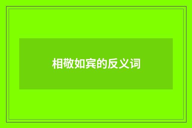 相敬如宾的反义词