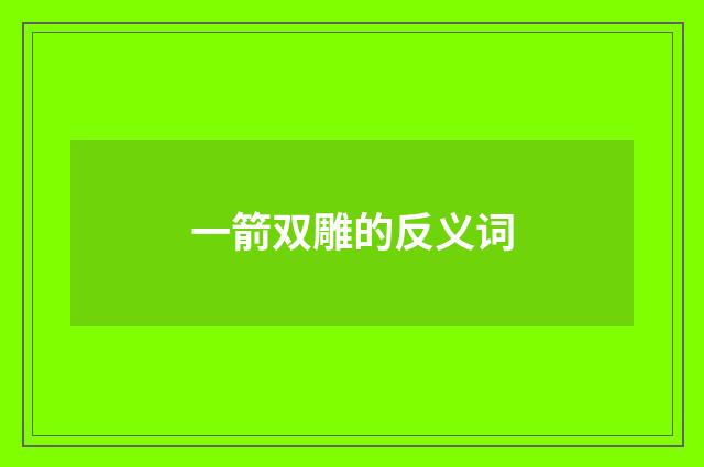 一箭双雕的反义词