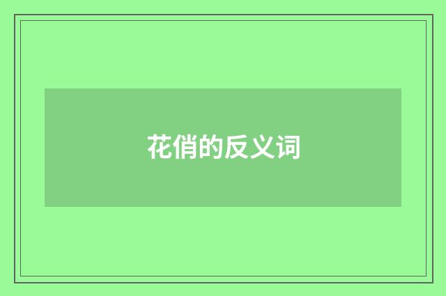 花俏的反义词