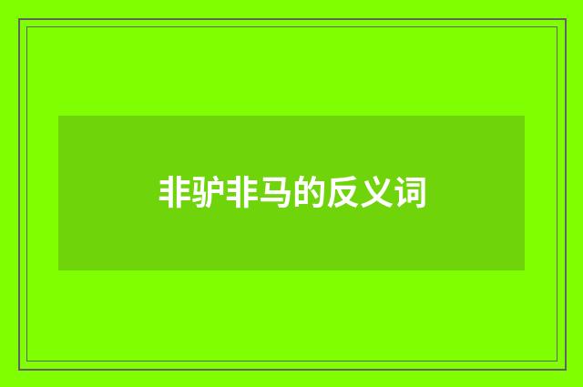 非驴非马的反义词