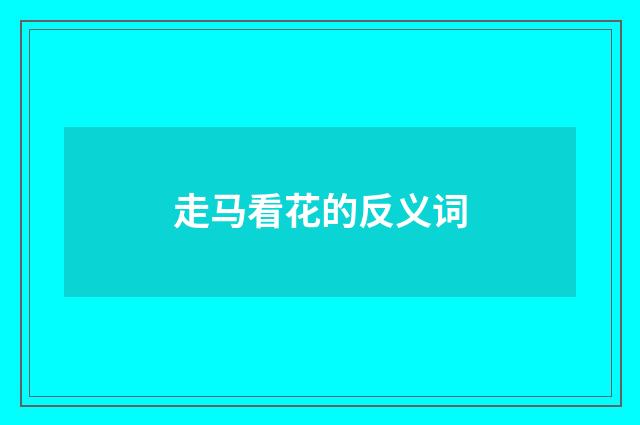 走马看花的反义词