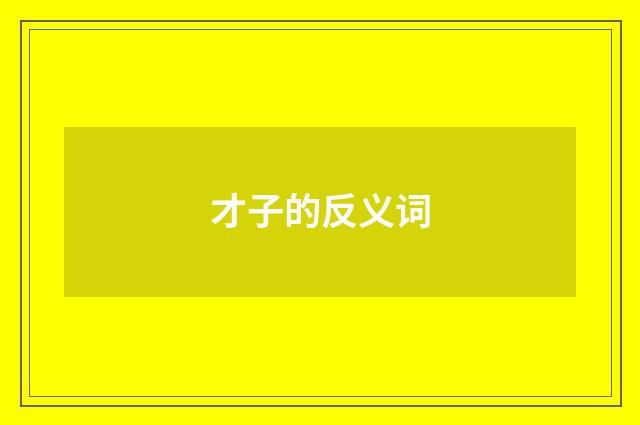 才子的反义词