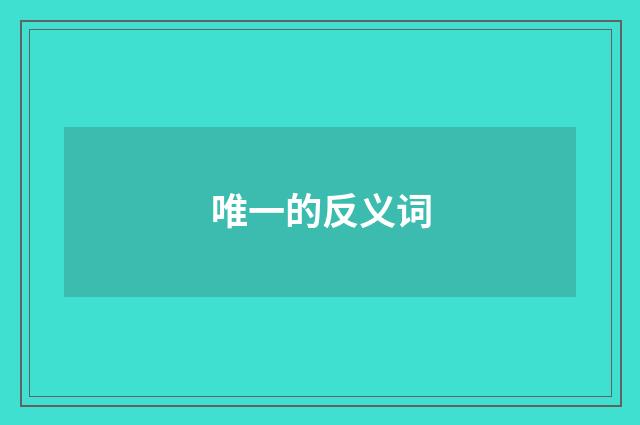 唯一的反义词