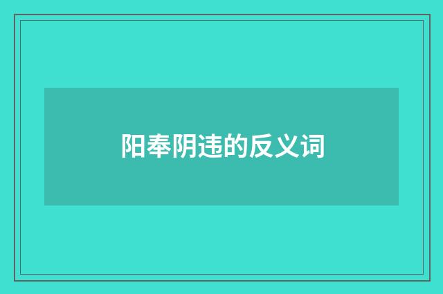 阳奉阴违的反义词