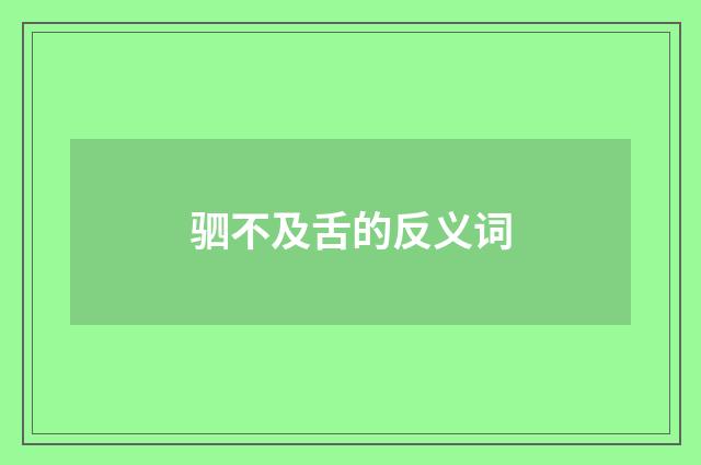 驷不及舌的反义词