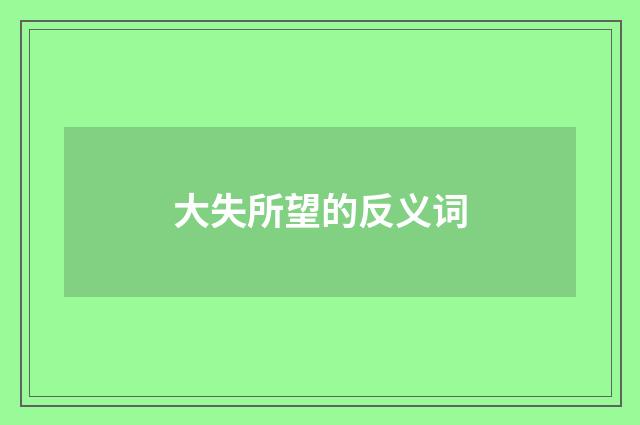 大失所望的反义词