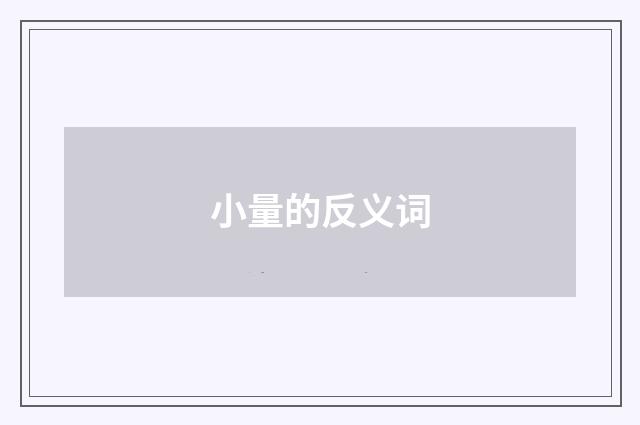 小量的反义词