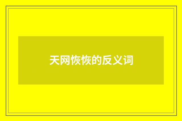 天网恢恢的反义词
