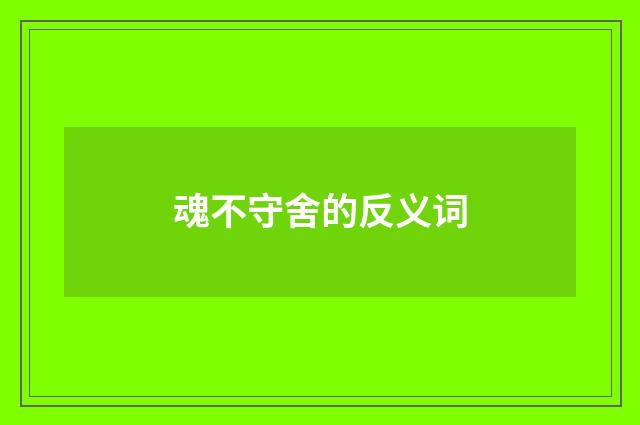 魂不守舍的反义词