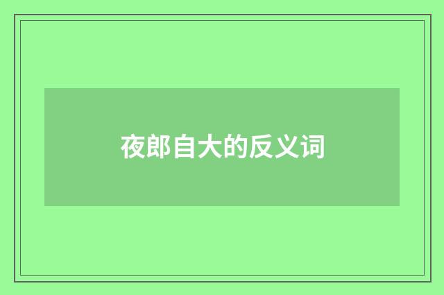 夜郎自大的反义词