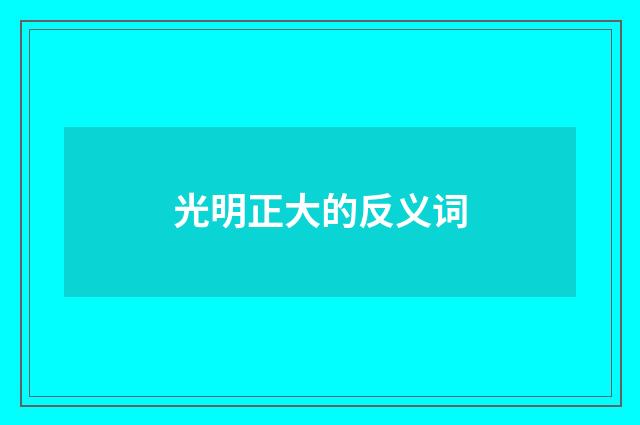 光明正大的反义词