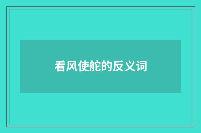 看风使舵的反义词