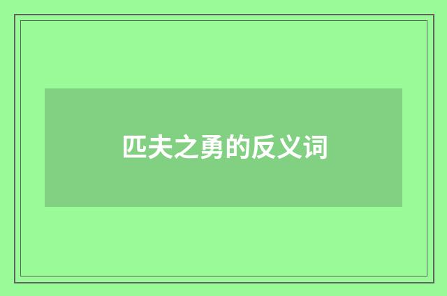 匹夫之勇的反义词