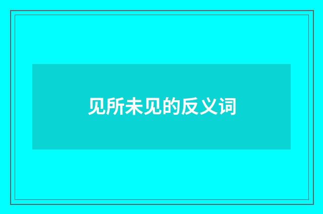 见所未见的反义词