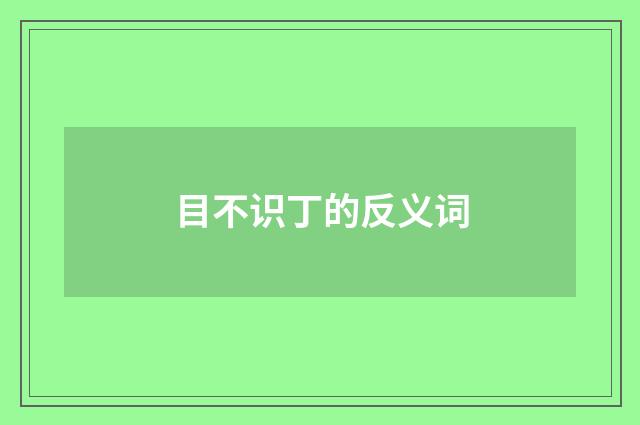 目不识丁的反义词
