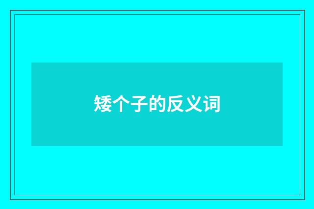 矮个子的反义词