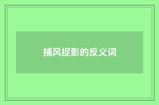 捕风捉影的反义词